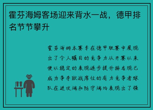 霍芬海姆客场迎来背水一战，德甲排名节节攀升